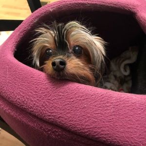 Meet your Posher, Stacey